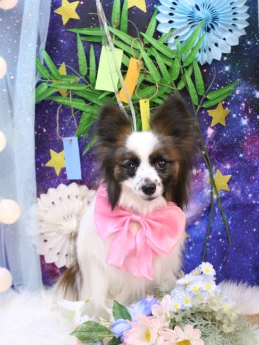 20250713マリーちゃん